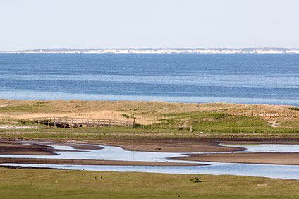 Våtmark med träbro. I förgrudnen syns Stevns Klint i Öresund under en blå himmel med stackmoln.