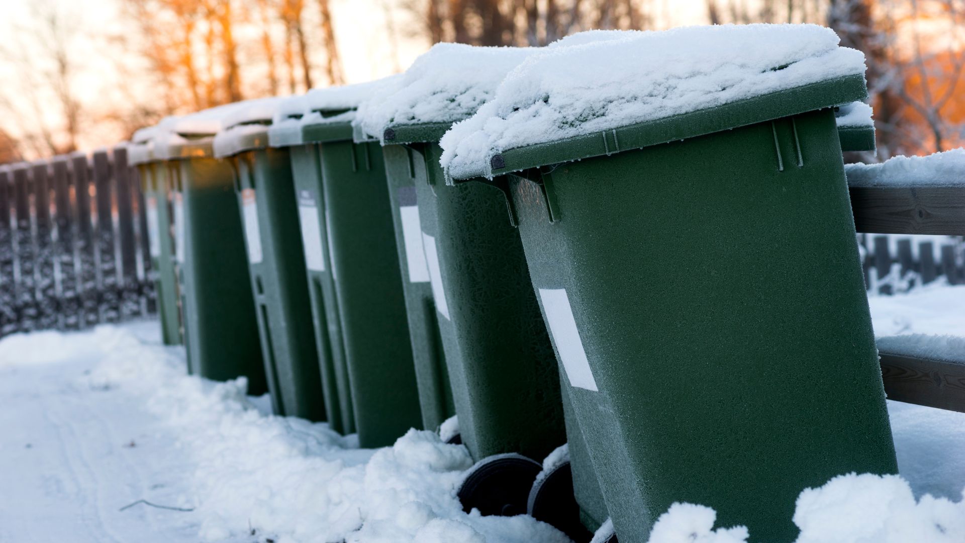 Gröna soptunnor på rad i snö.jpg