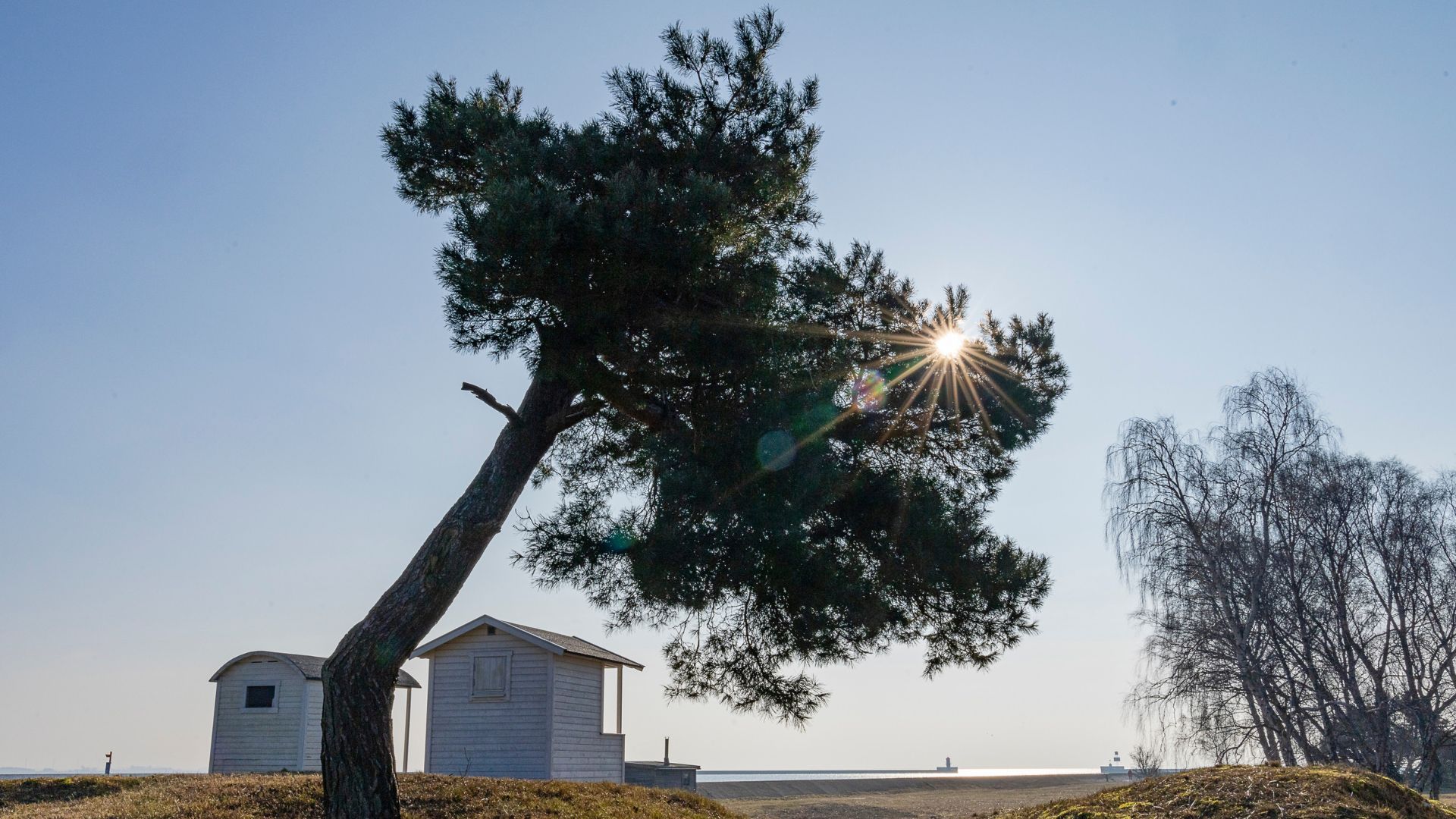 Ett stort barrträd står bakom två vita badhytter. Solen lyser genom grenarna på barrträdet. I förgrunden syns hav.