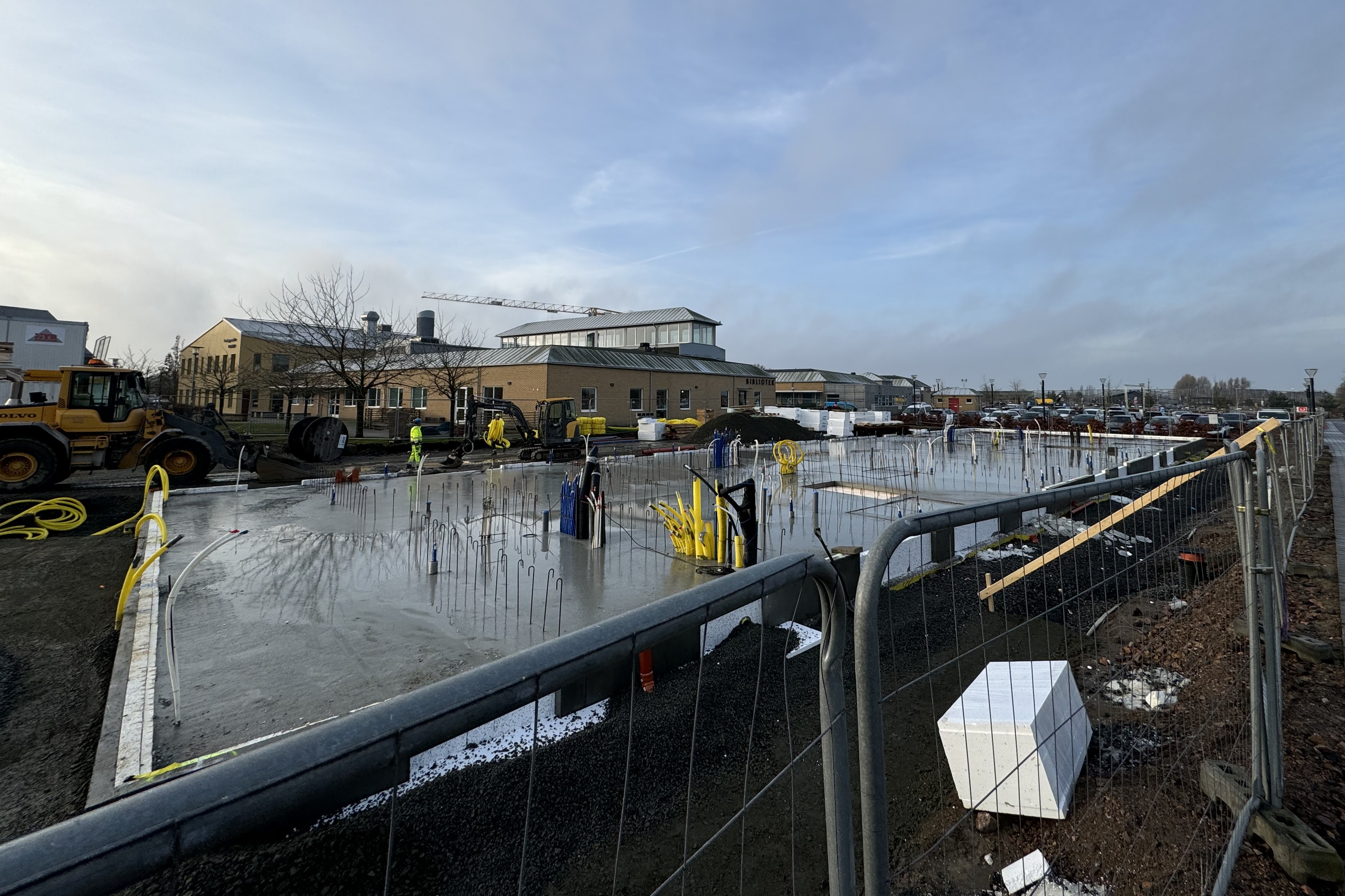 solblomman 1 260116.jpg