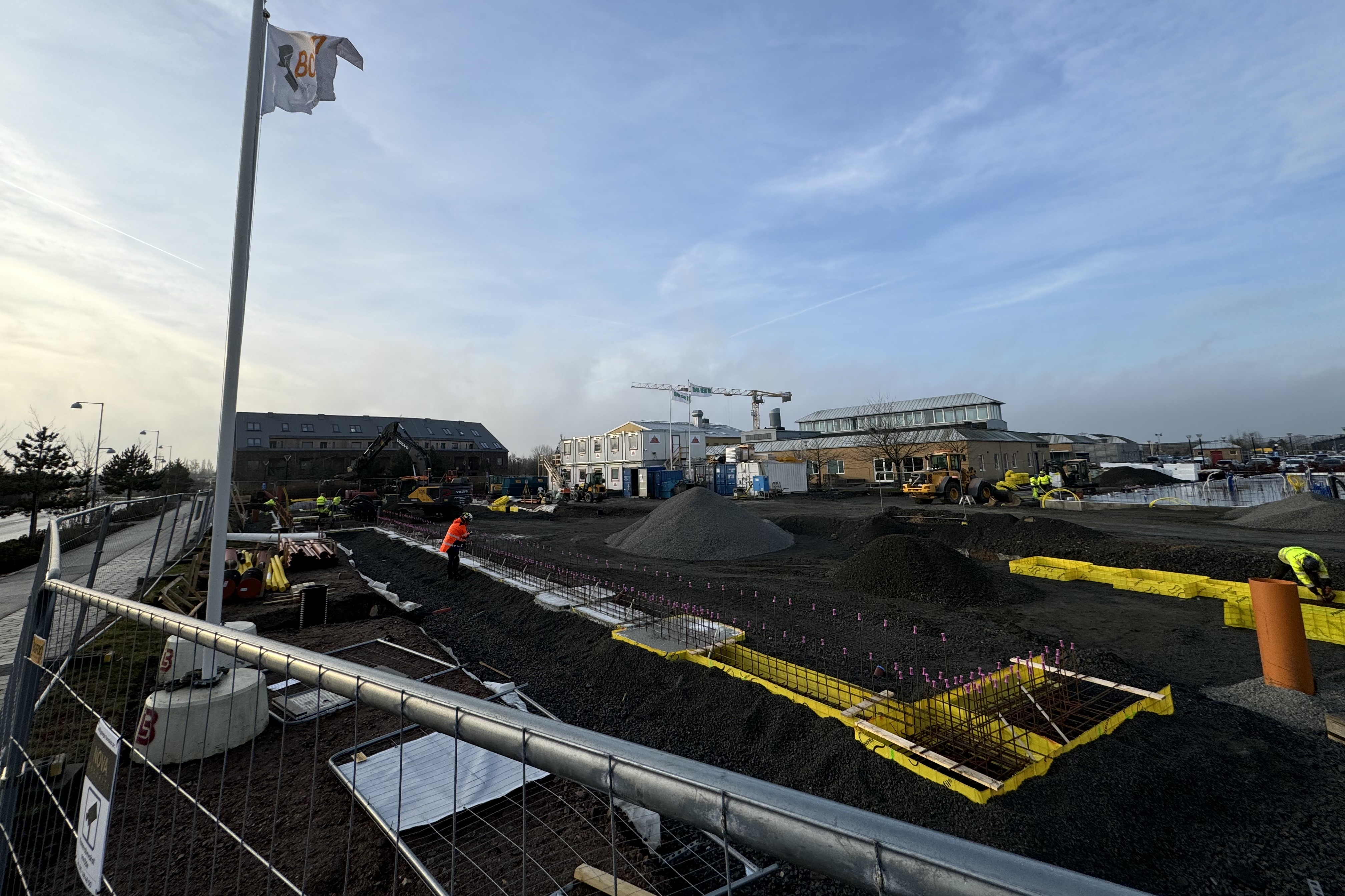 solblomman 2 260116.jpg