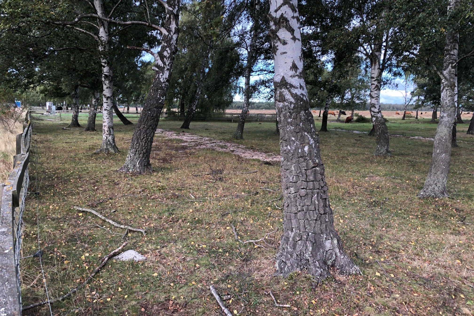 reutersw&auml;rds v&auml;g.jpg