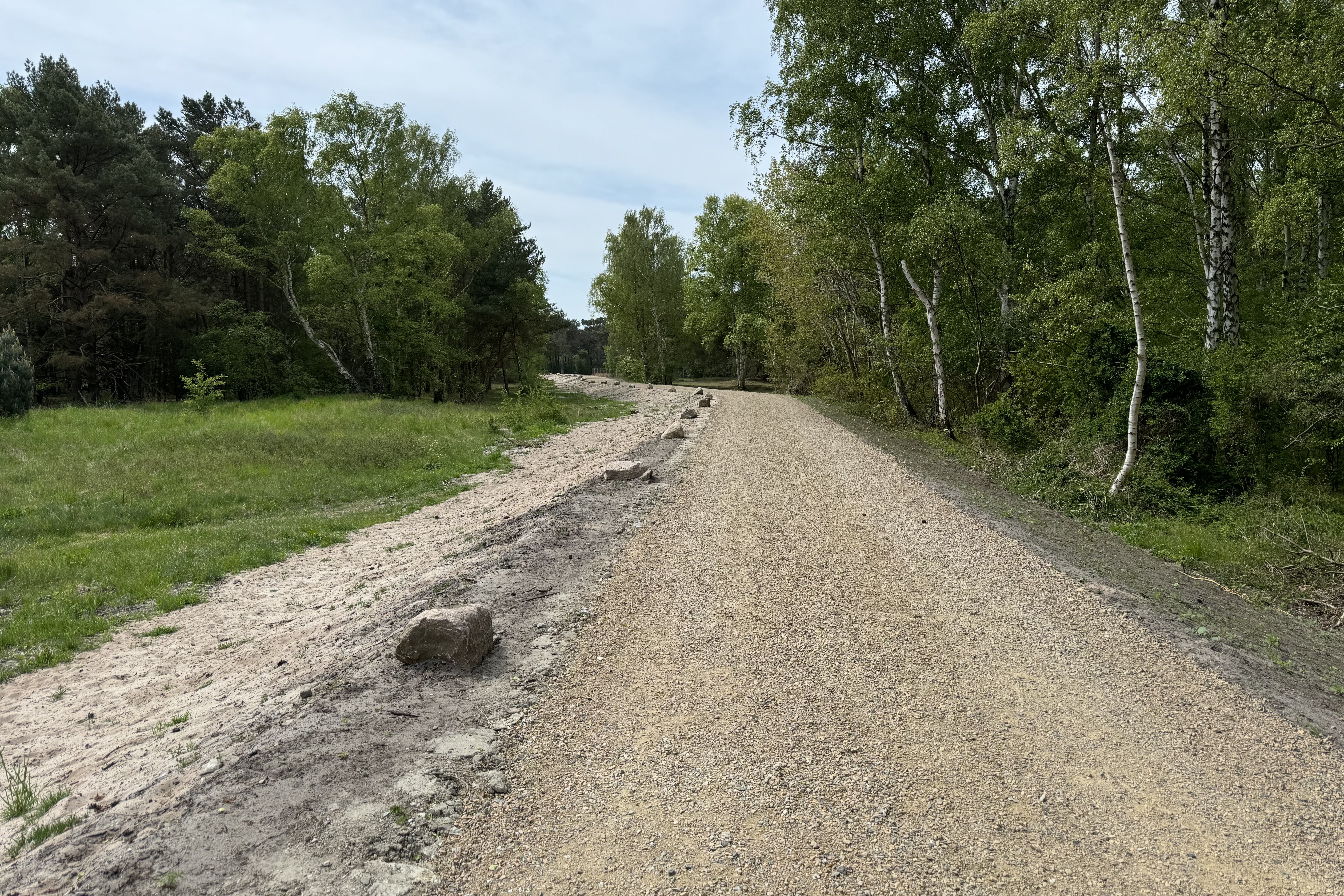 skyddsvall falsterbo 250514.jpg