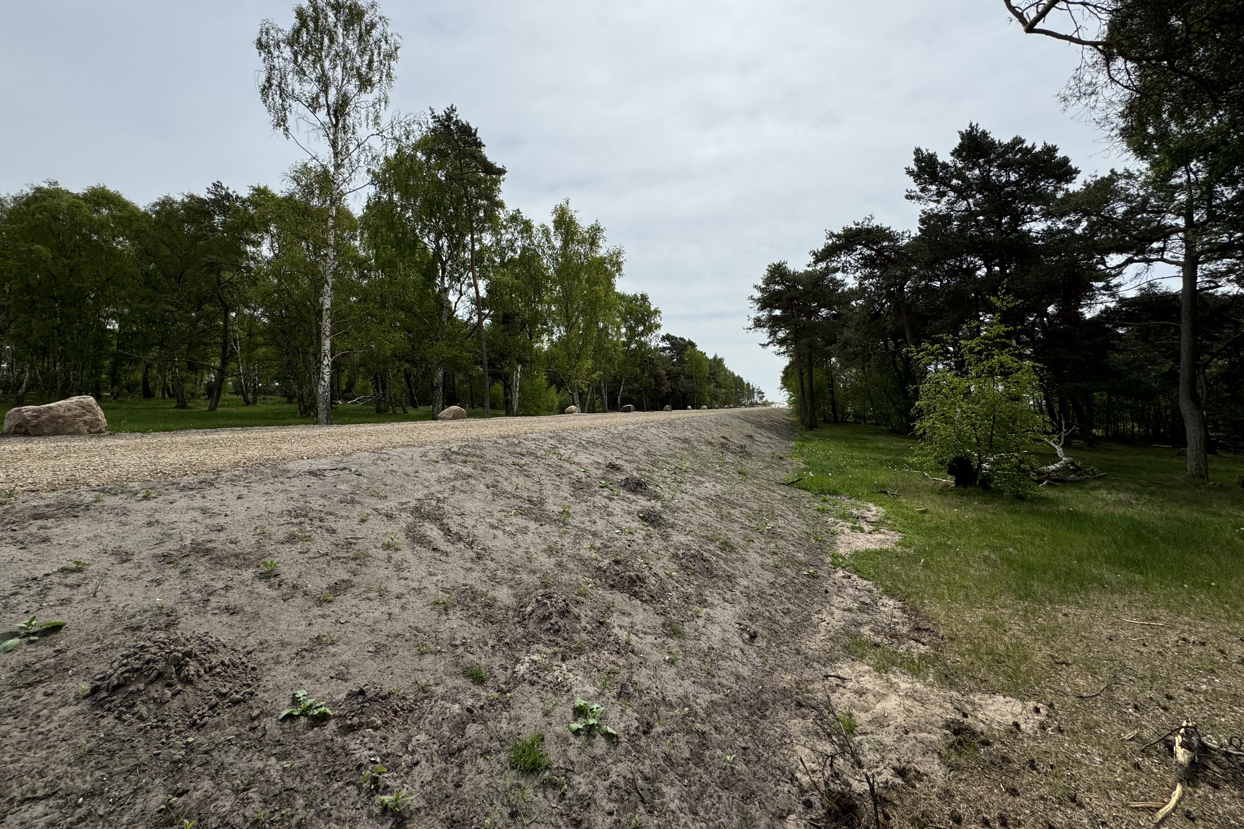 skyddsvall falsterbo 3 250514.jpg