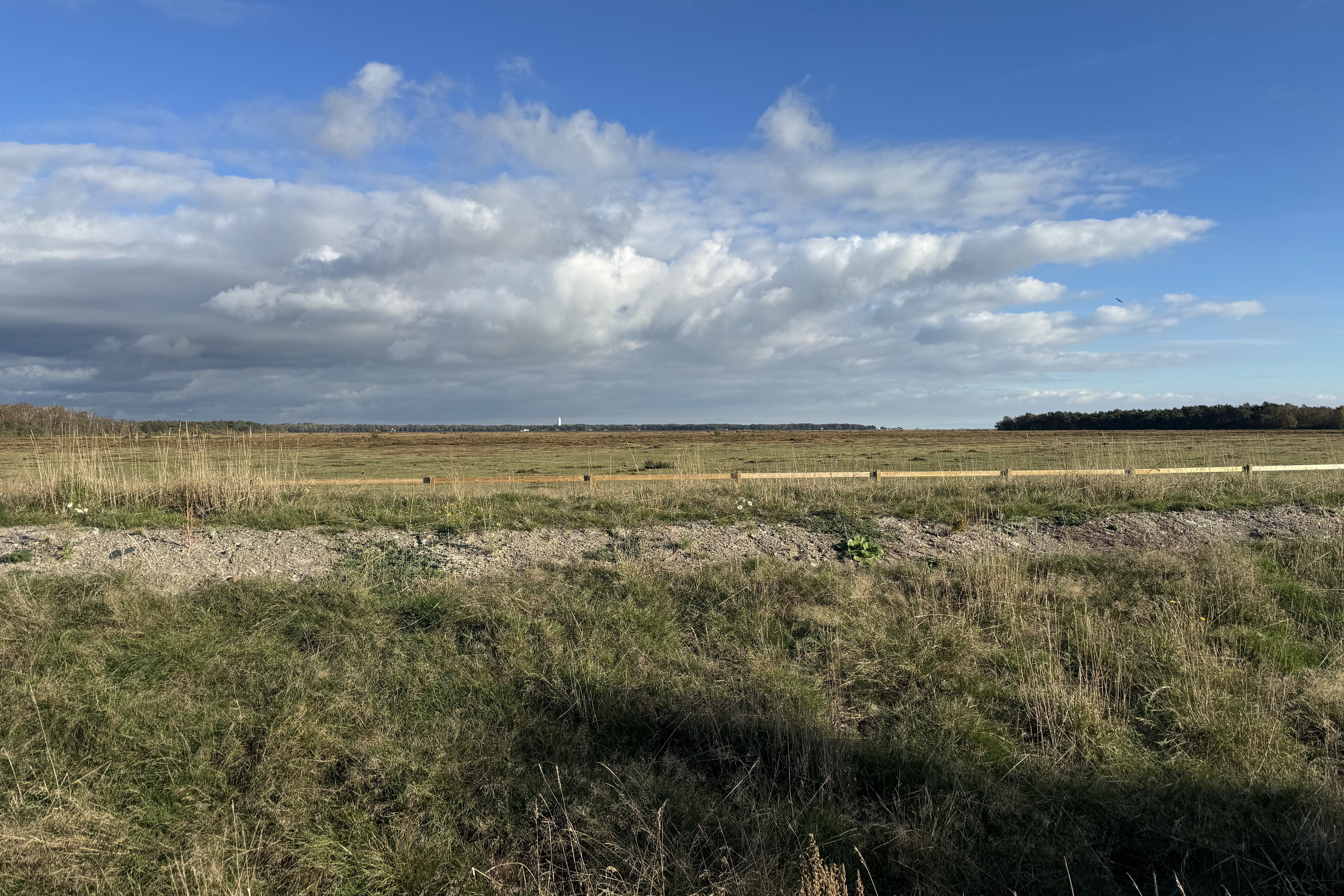 strandbadsv&auml;gen 3 251014.jpg