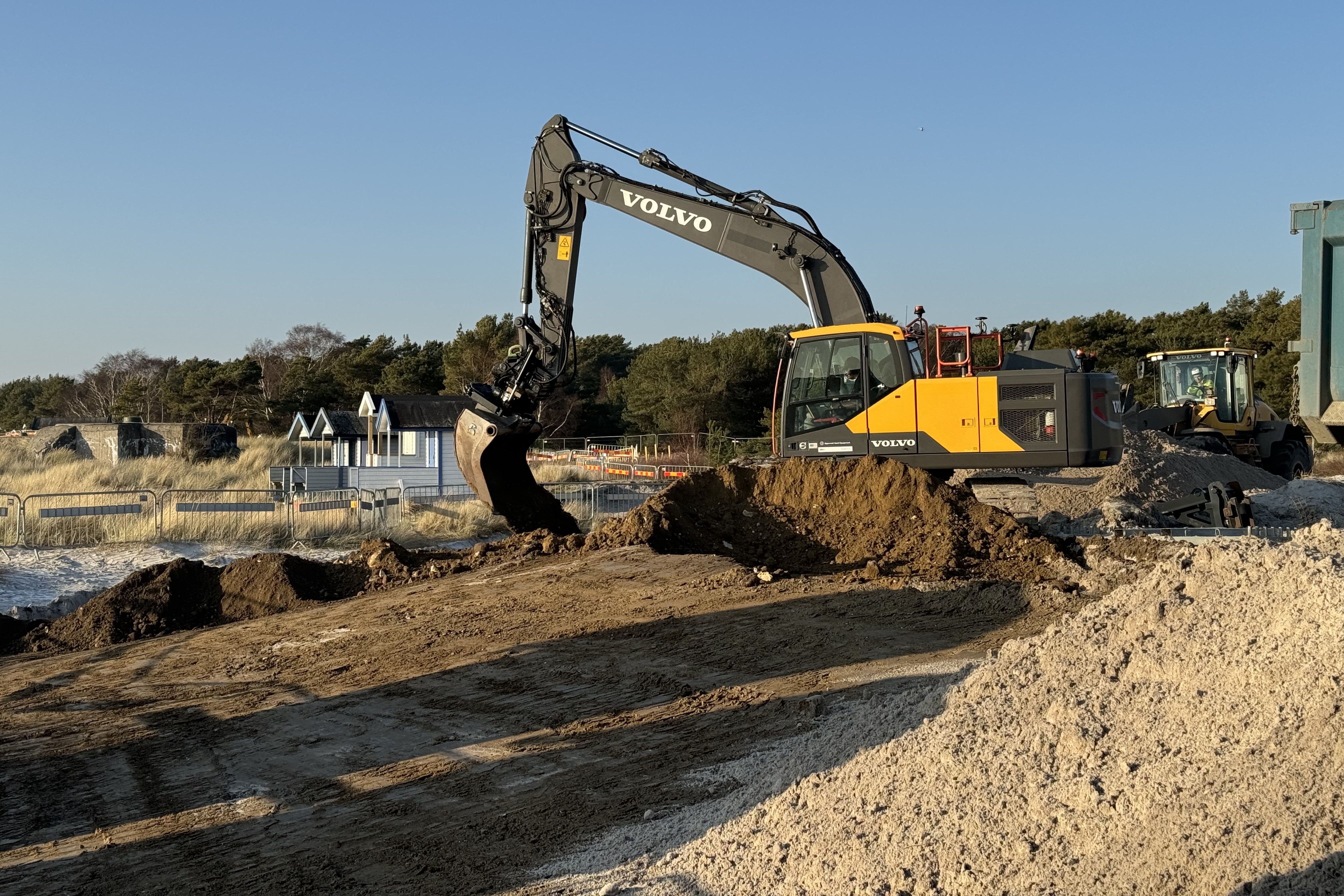 k&auml;mpinge 3 260120.jpg