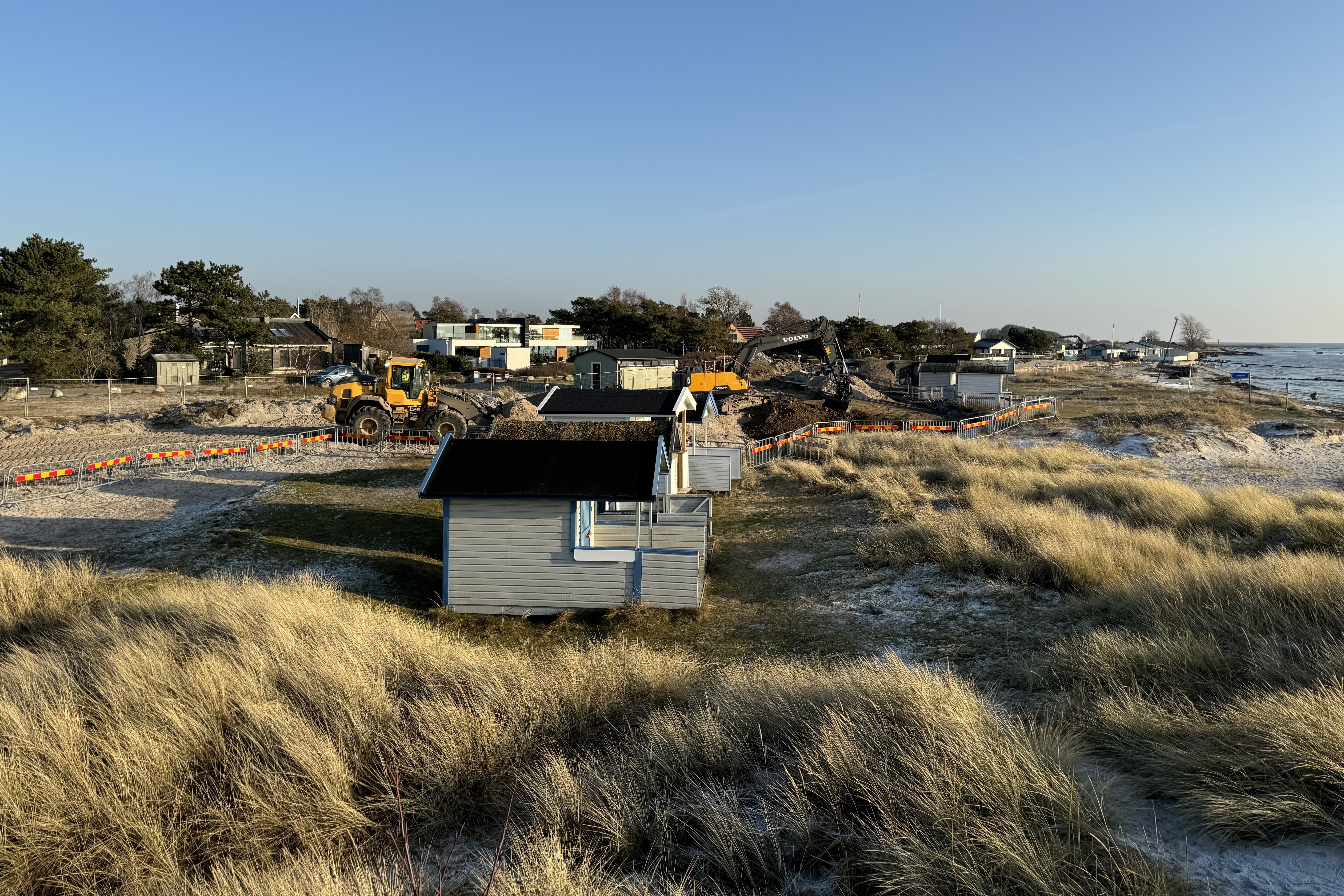 k&auml;mpinge 4 260120.jpg