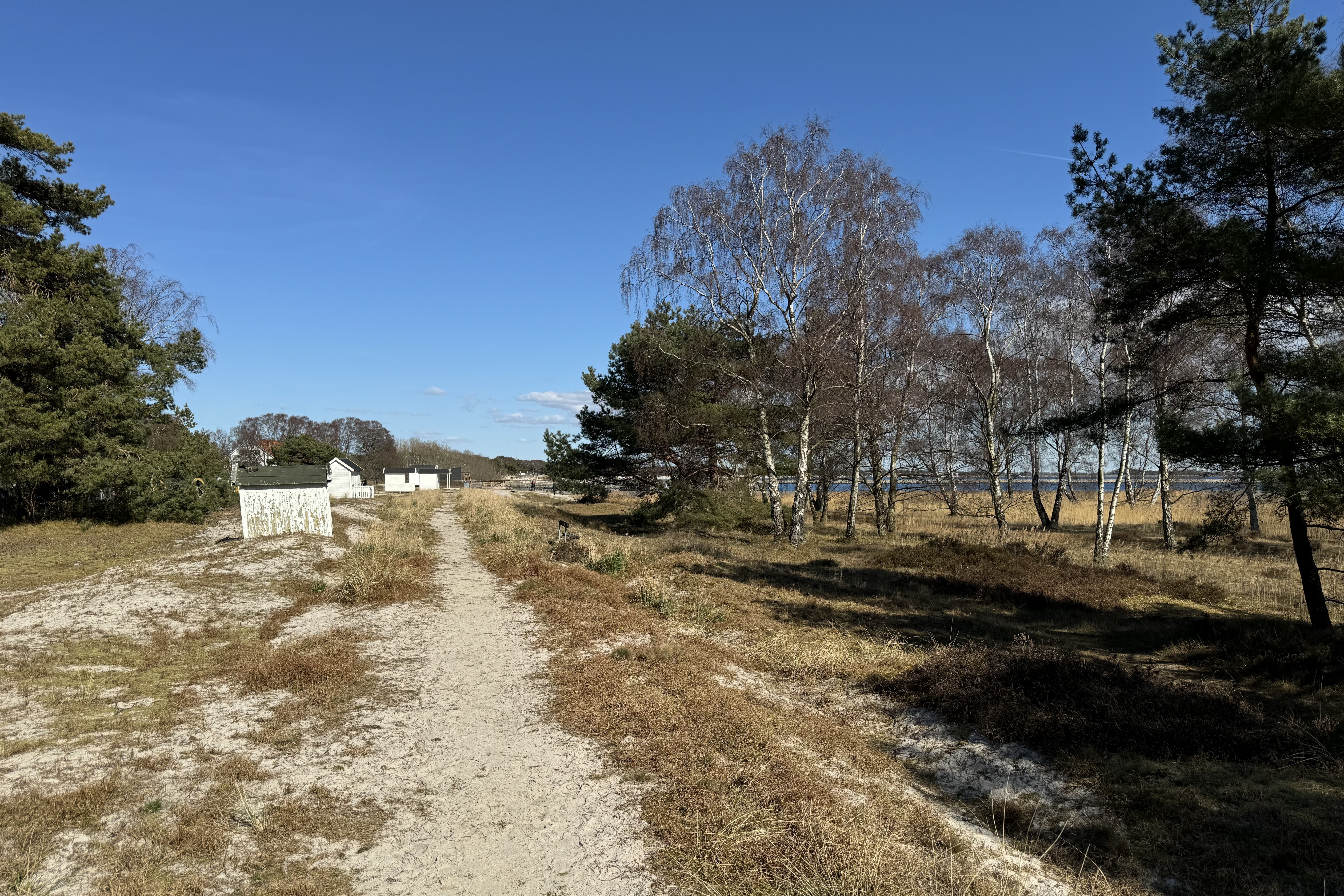 Södra Ljunghusen 250401 5.jpg
