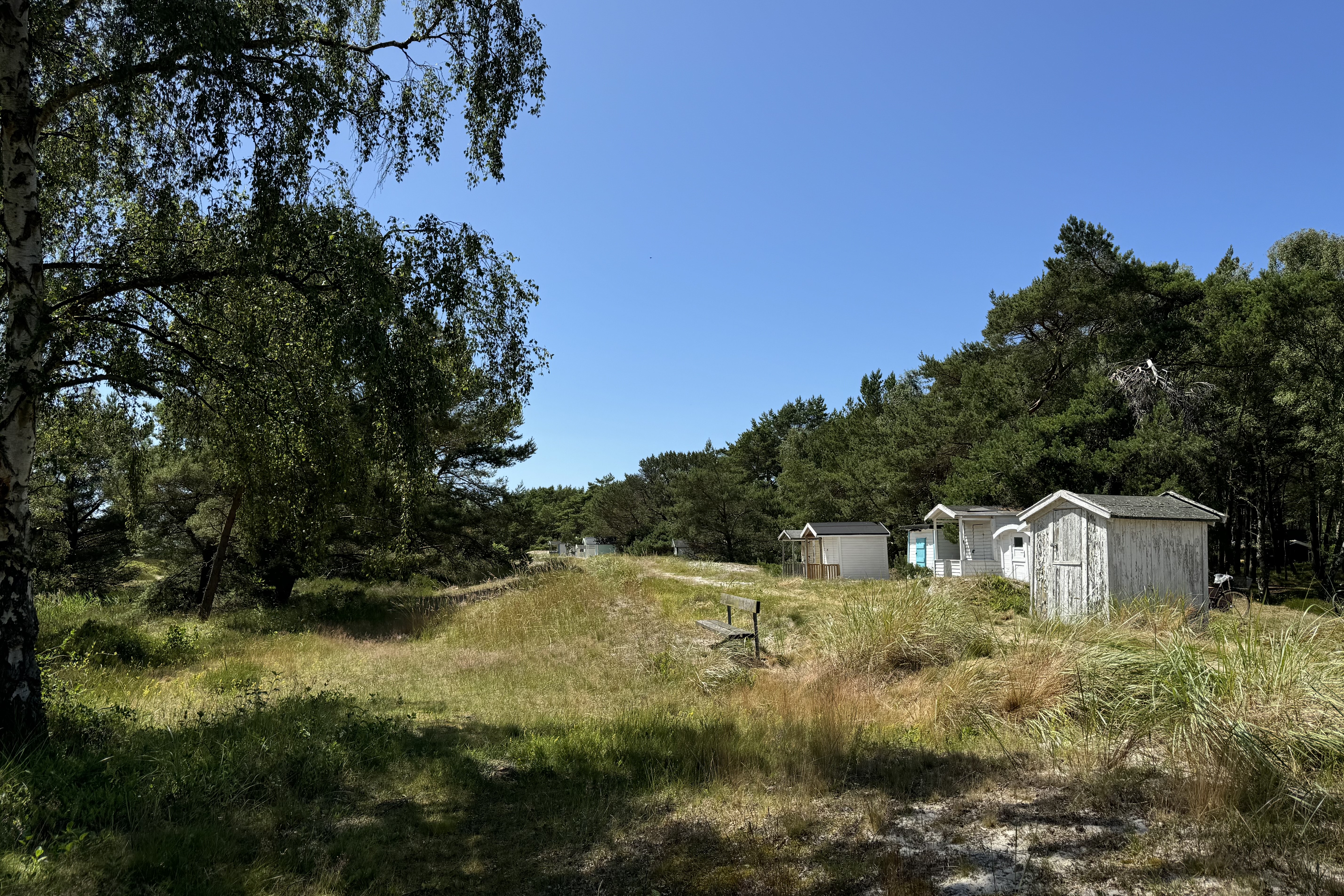 södra ljunghusen 250630 1.jpg