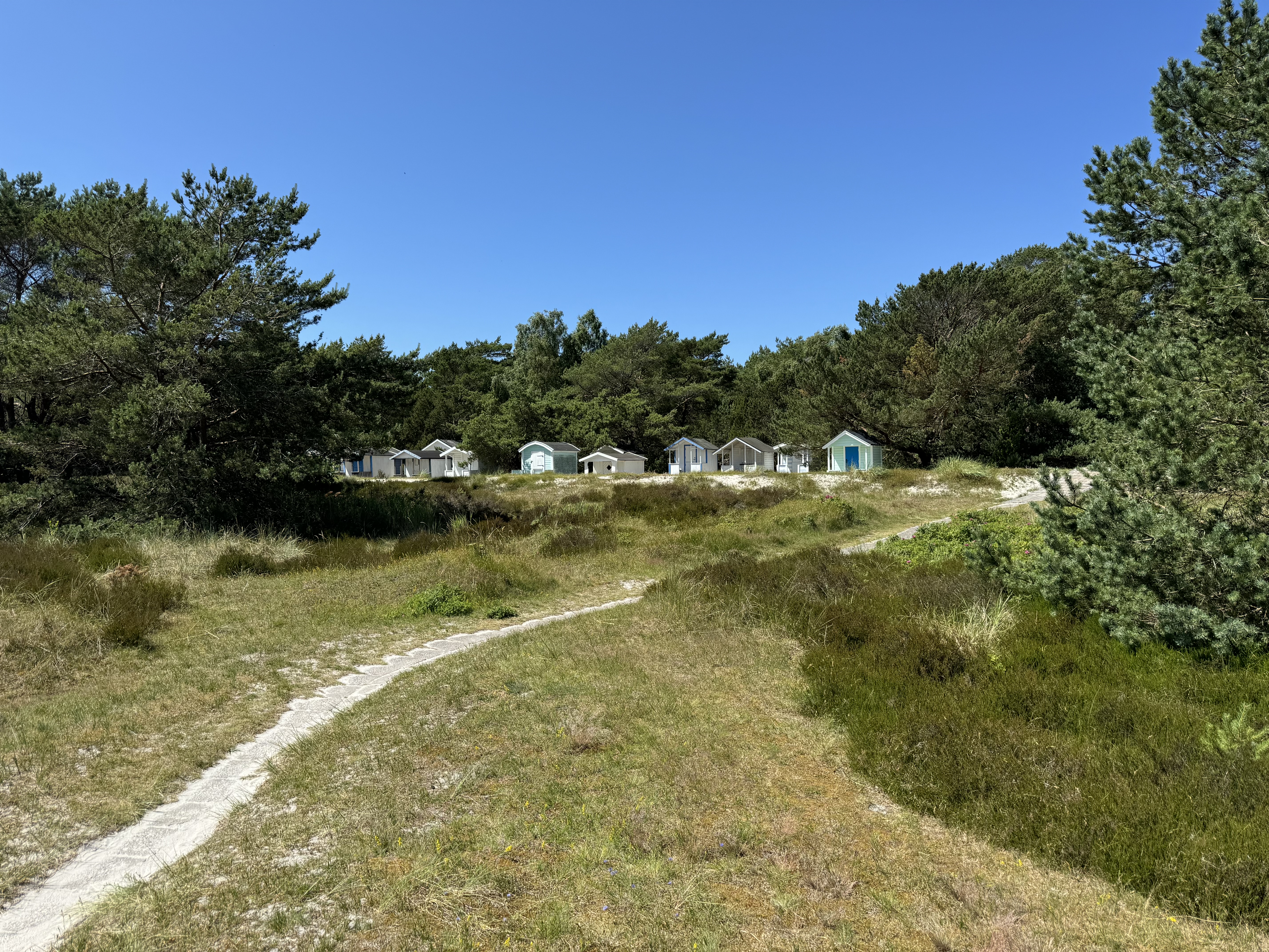 södra ljunghusen 250630 7.jpg