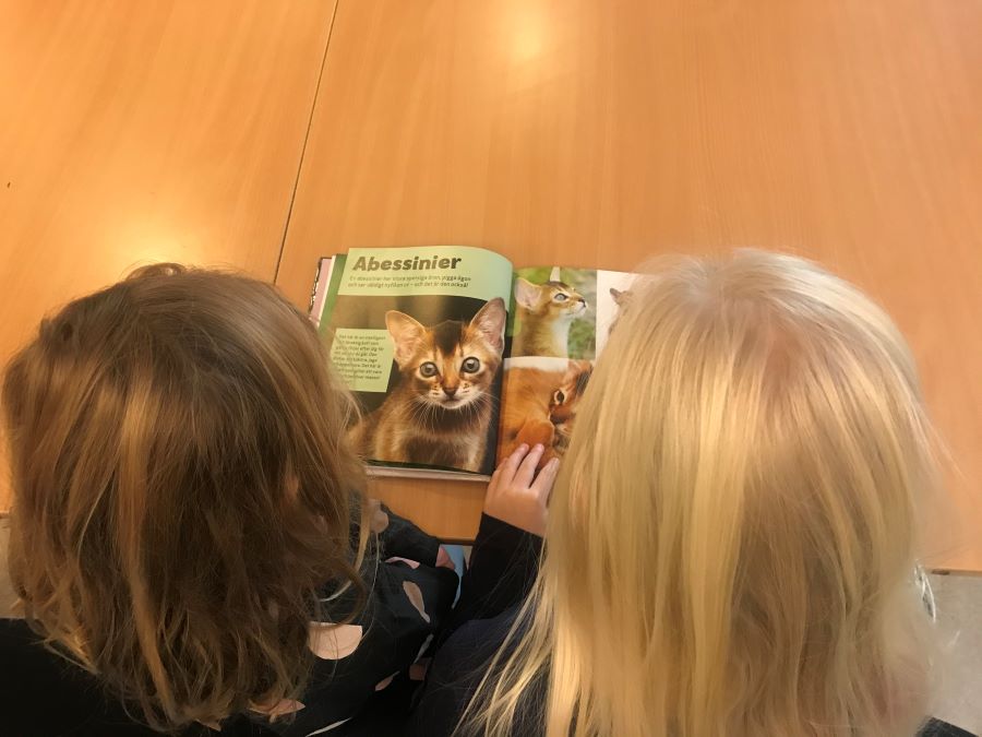 Två barn sitteer vid ett bord och tittar i en bok..jpeg